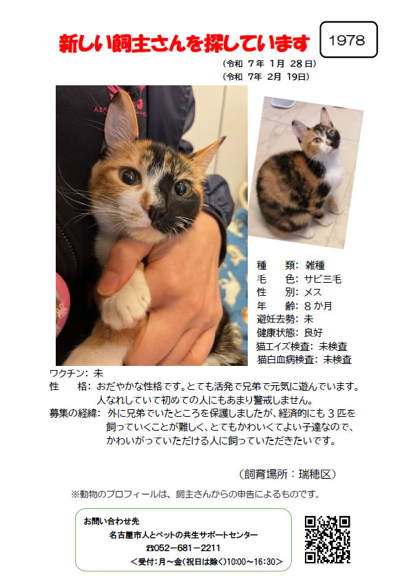 【4】2025年1月29日掲載