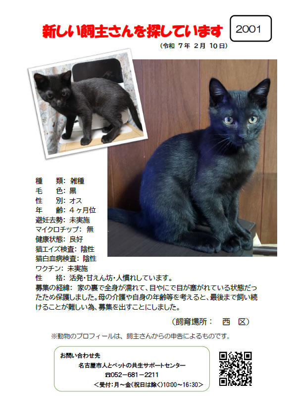 【1】2025年2月10日掲載