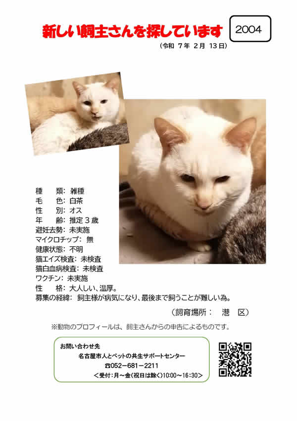 【3】2025年2月13日掲載