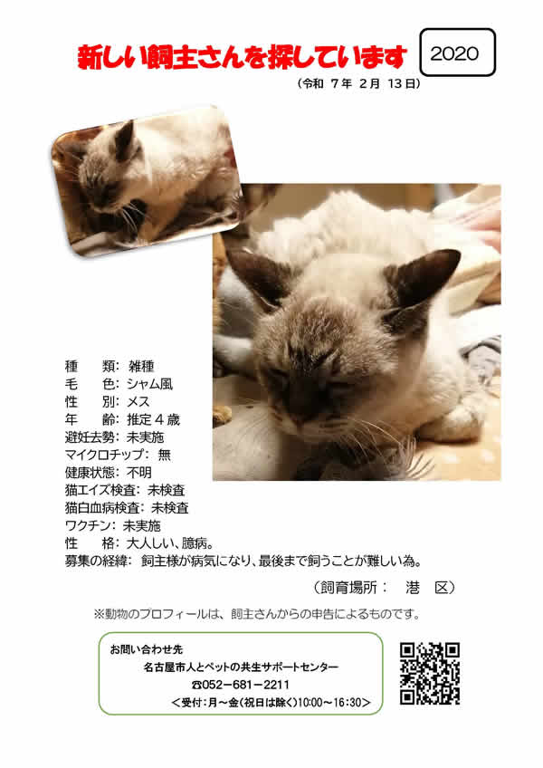 【13】2025年2月13日掲載