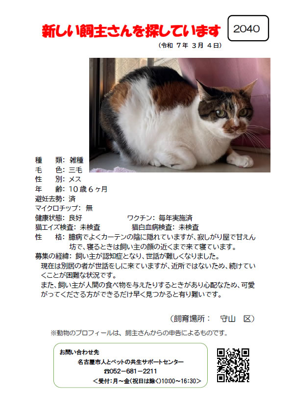 【3】2025年3月4日掲載