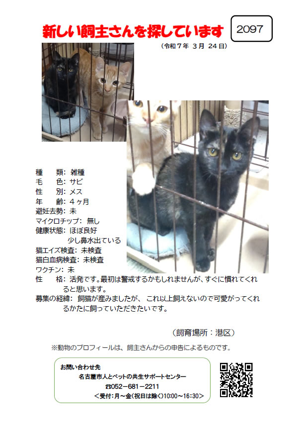 【2】2025年3月24日掲載