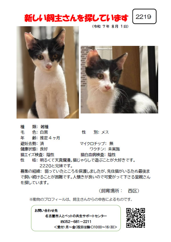 【5】2025年8月1日掲載