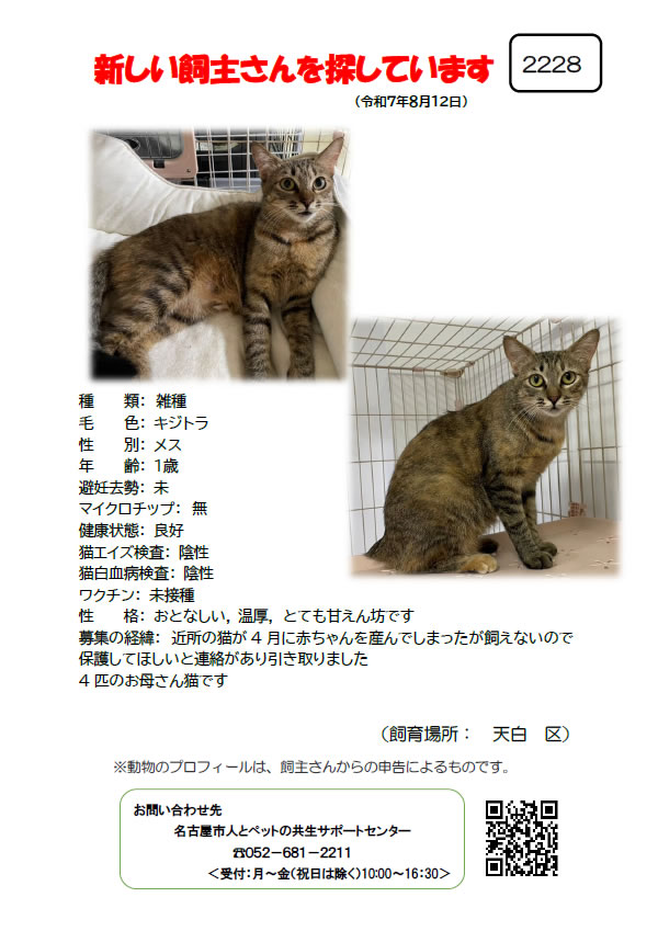 【1】2025年8月12日掲載