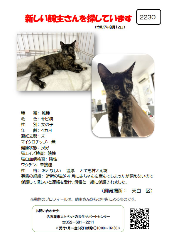 【3】2025年8月12日掲載