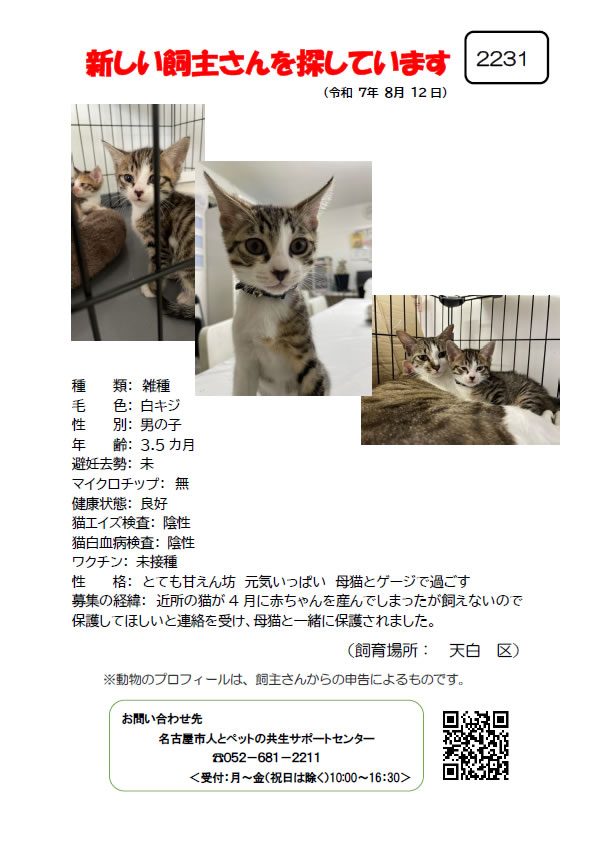 【4】2025年8月12日掲載