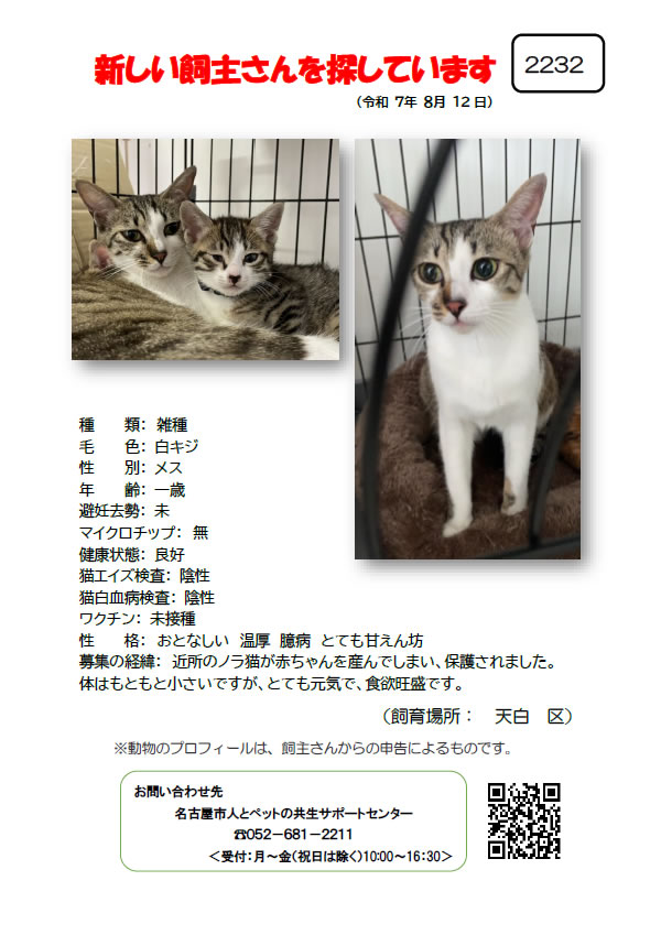 【5】2025年8月12日掲載