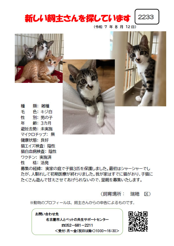 【6】2025年8月12日掲載