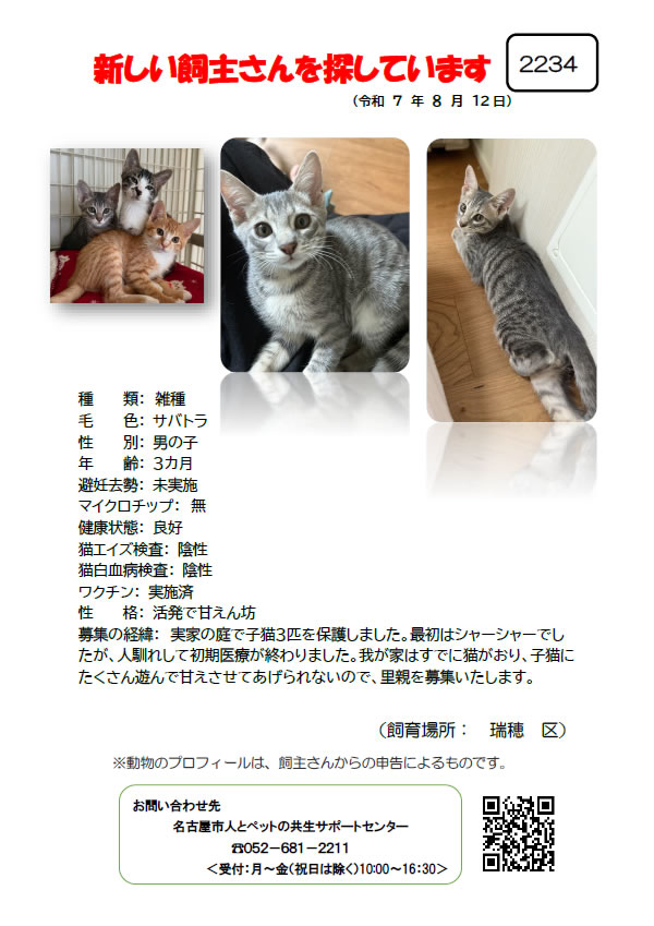 【7】2025年8月12日掲載