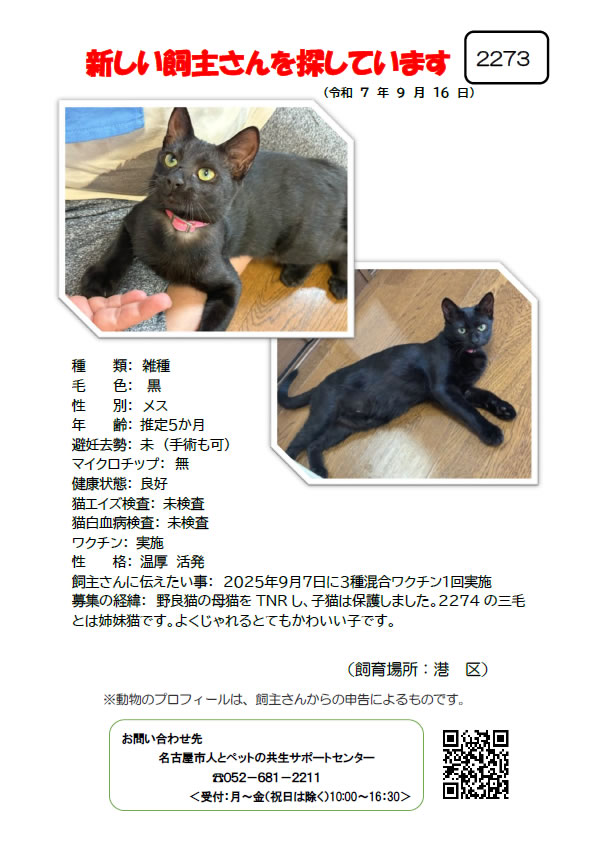 【1】2025年9月16日掲載