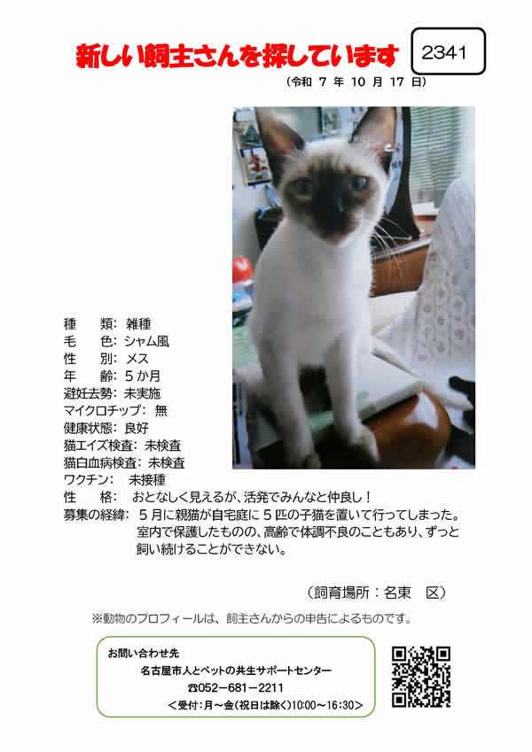 【5】2025年10月17日掲載