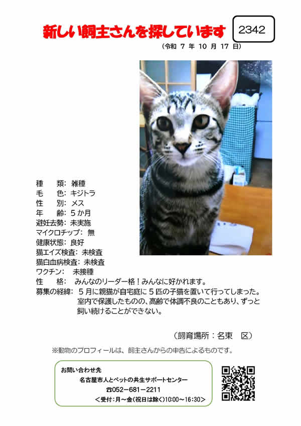 【6】2025年10月17日掲載