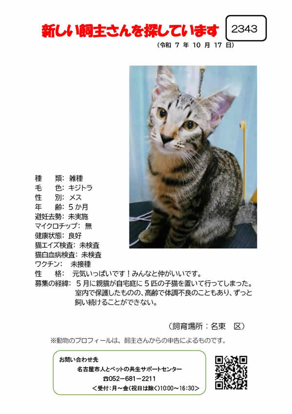 【7】2025年10月17日掲載