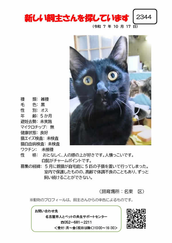 【8】2025年10月17日掲載