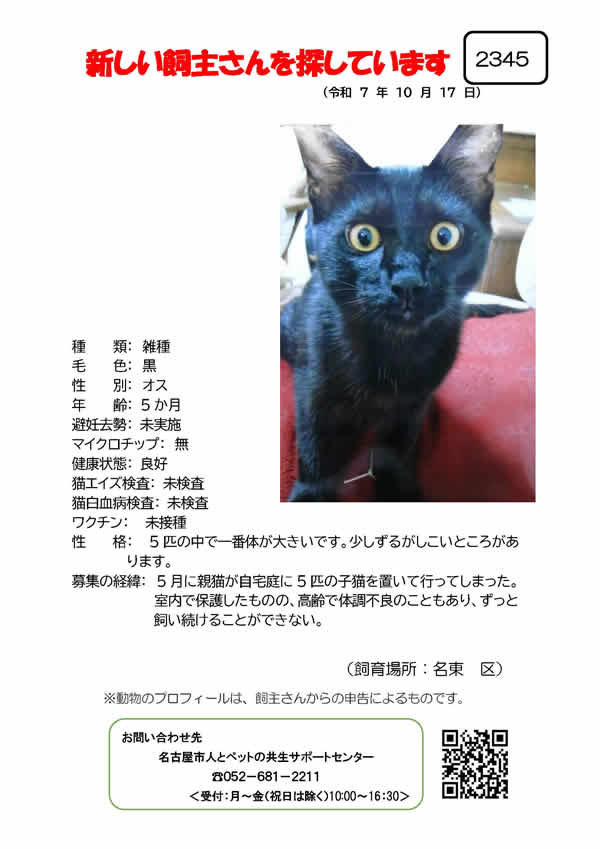 【9】2025年10月17日掲載