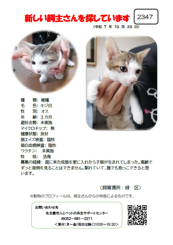 【2】2025年10月20日掲載