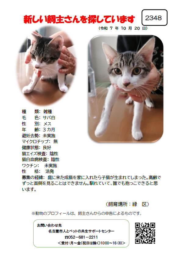 【3】2025年10月20日掲載