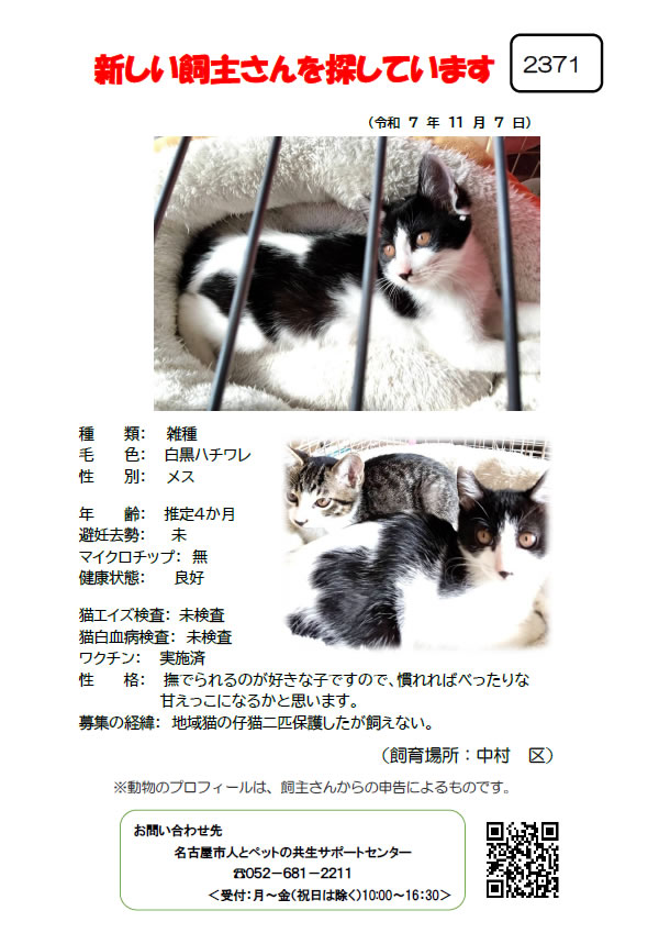 【3】2025年11月7日掲載