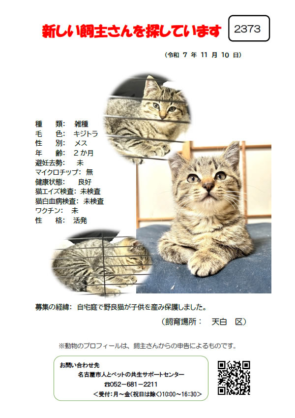 【2】2025年11月10日掲載