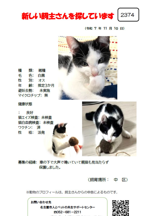 【3】2025年11月10日掲載