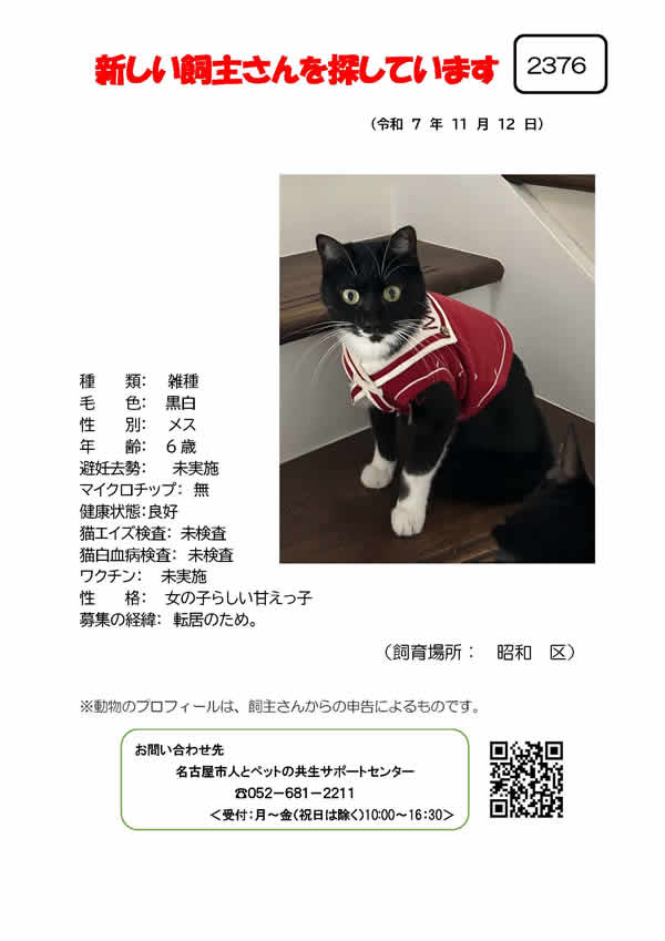 【2】2025年11月12日掲載