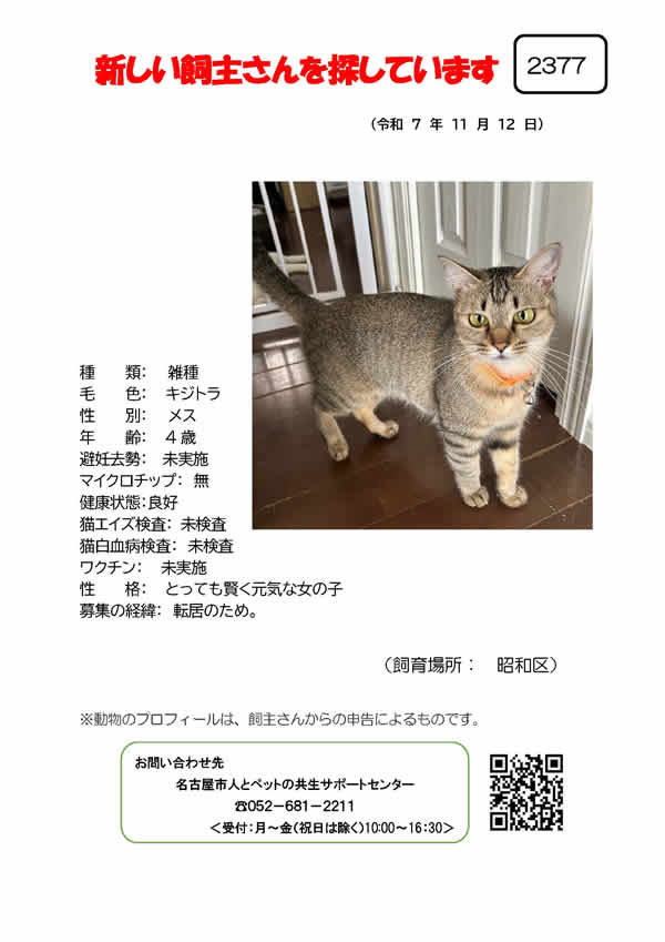 【3】2025年11月12日掲載