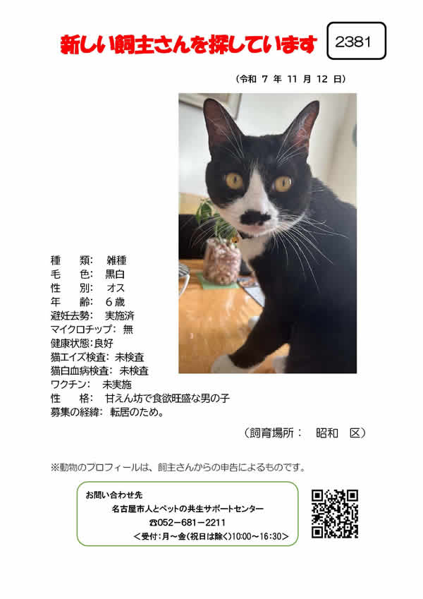 【7】2025年11月12日掲載