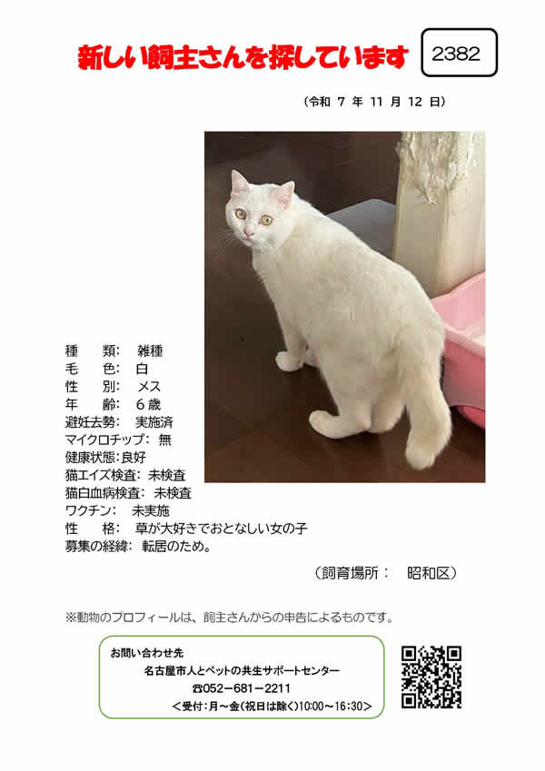 【8】2025年11月12日掲載