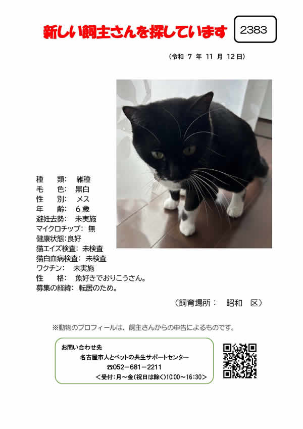 【9】2025年11月12日掲載