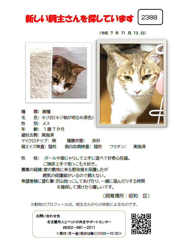 【4】2025年11月13日掲載