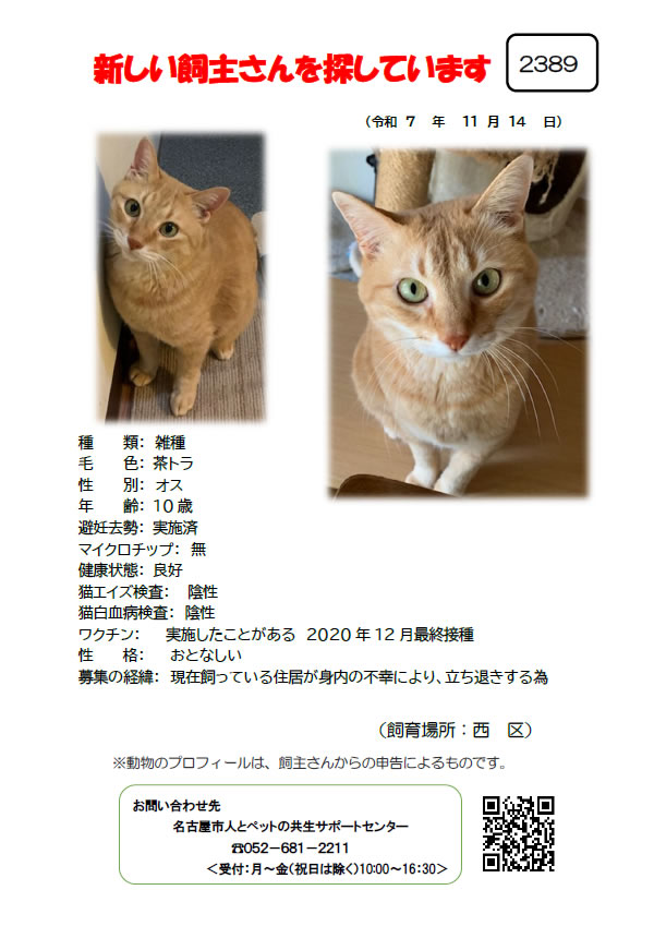 【1】2025年11月14日掲載