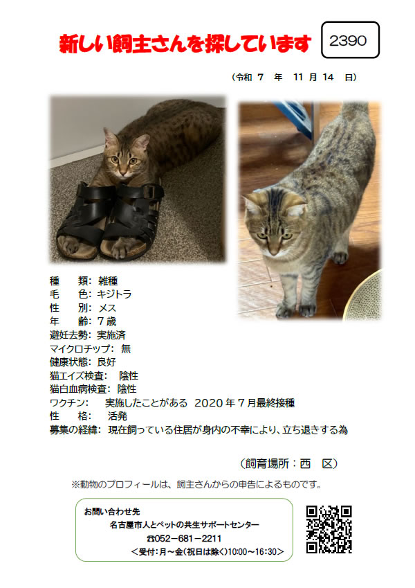 【2】2025年11月14日掲載