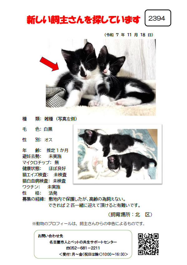 【1】2025年11月18日掲載