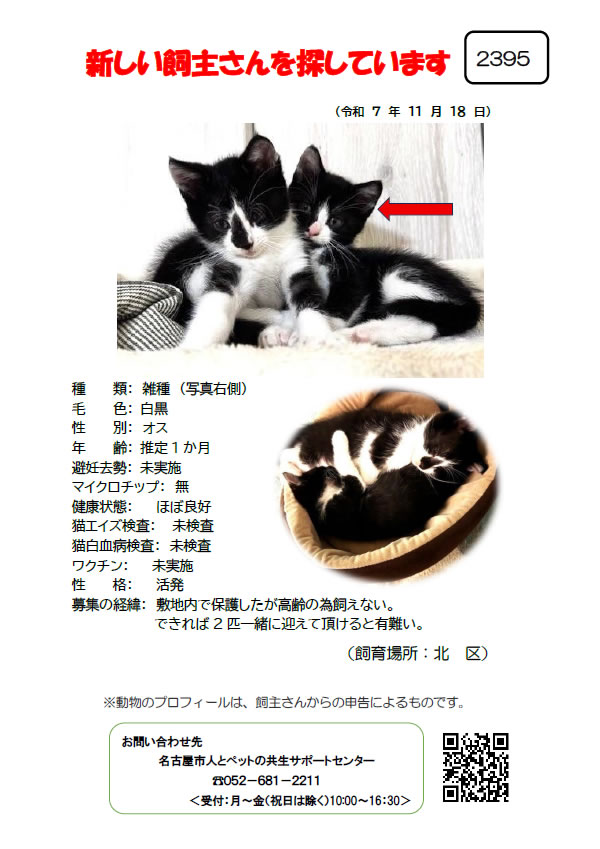 【2】2025年11月18日掲載