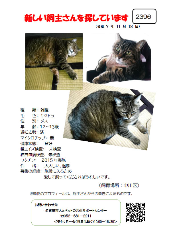 【1】2025年11月19日掲載