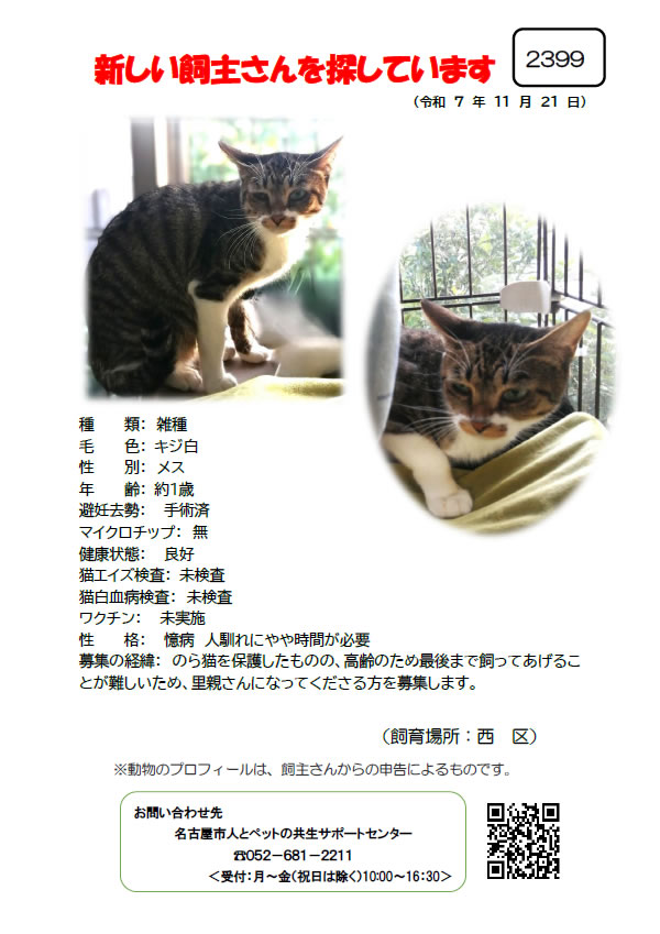 【2】2025年11月21日掲載