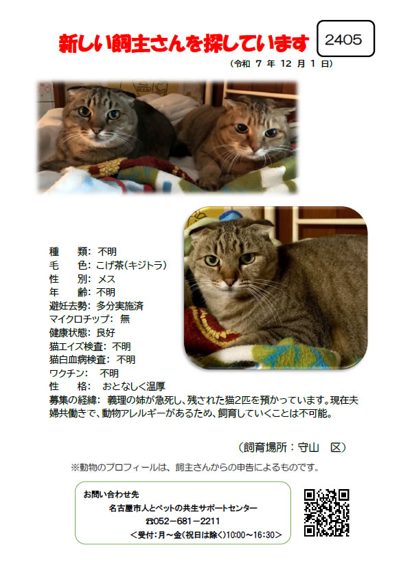 【2】2025年12月1日掲載