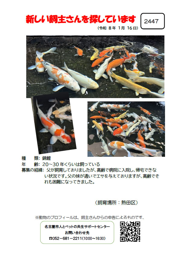 【1】2026年1月19日掲載