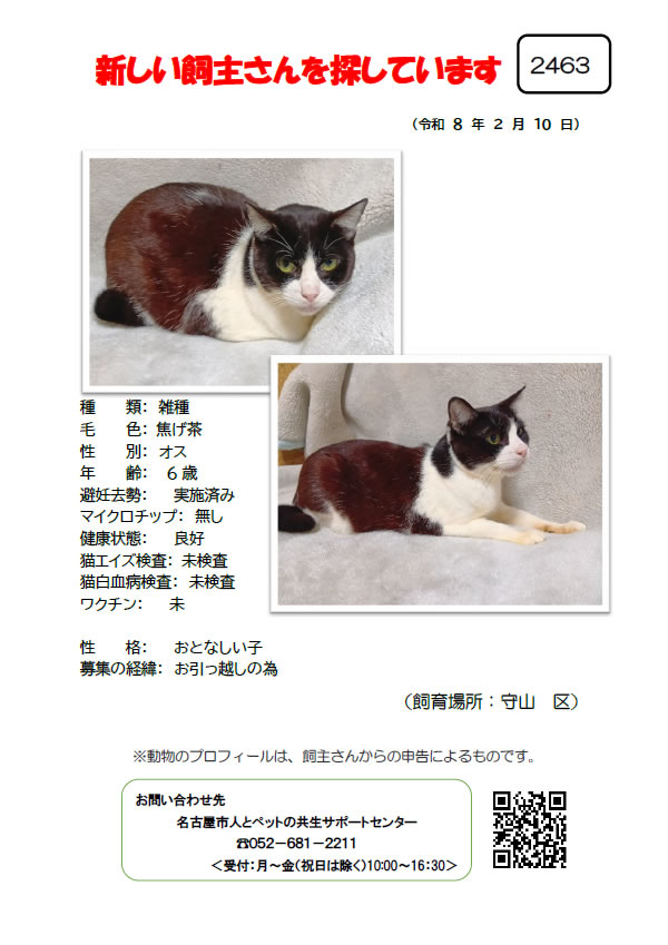 【1】2026年2月10日掲載