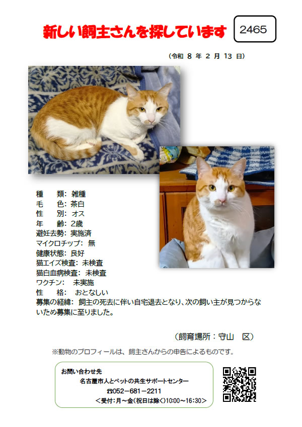 【1】2026年2月13日掲載