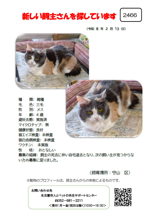 【2】2026年2月13日掲載