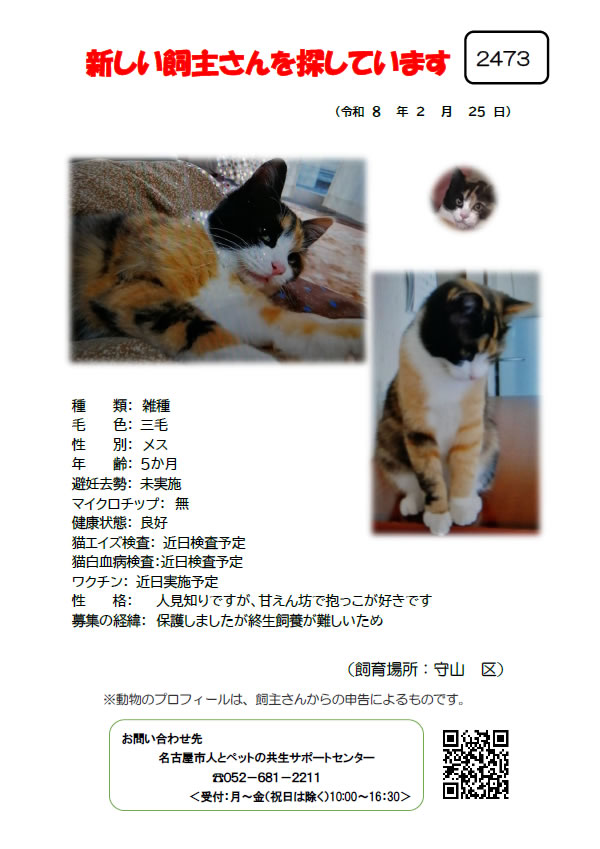 【1】2026年2月25日掲載