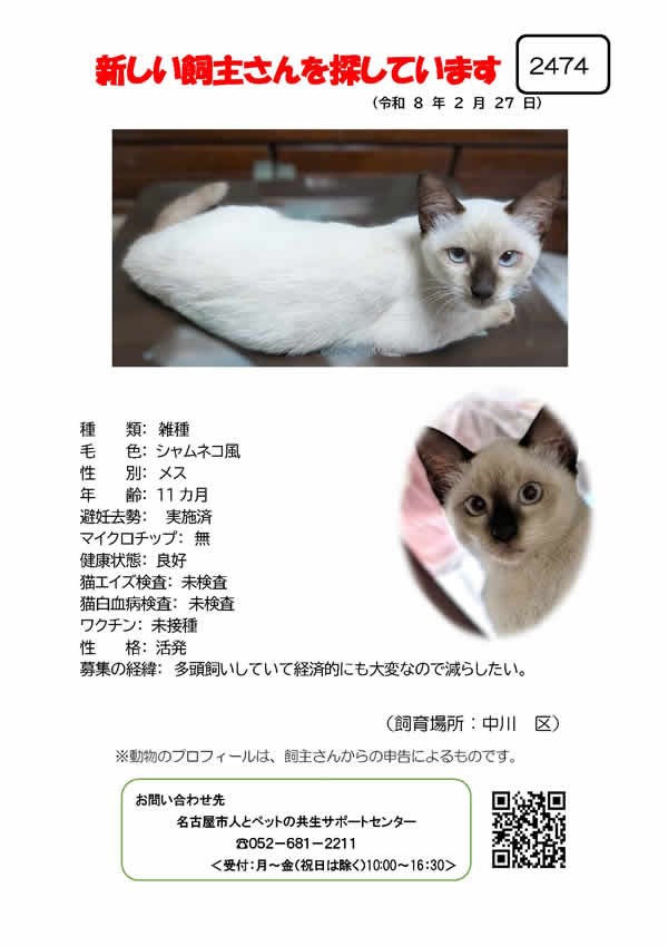 【1】2026年2月27日掲載