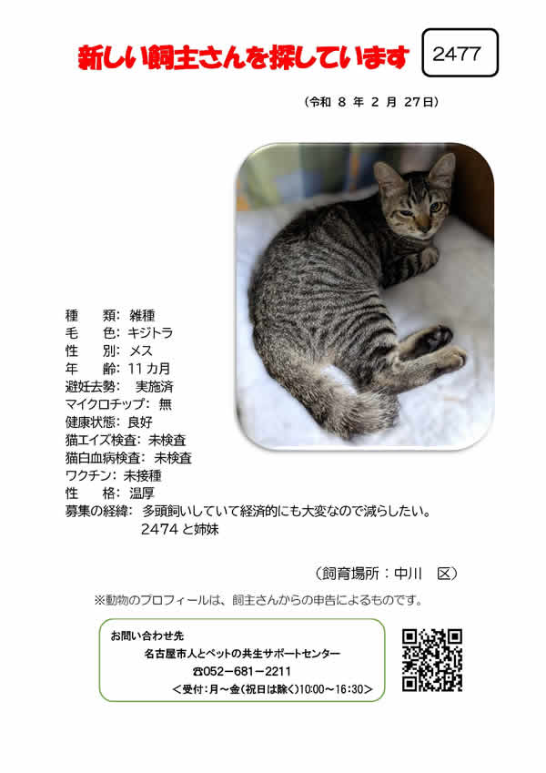 【4】2026年2月27日掲載