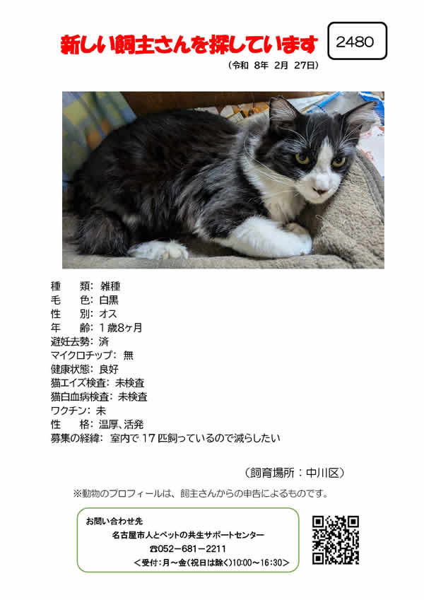 【7】2026年2月27日掲載