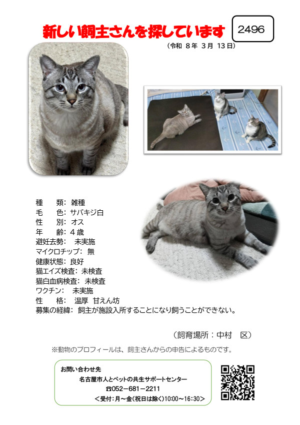 【3】2026年3月13日掲載