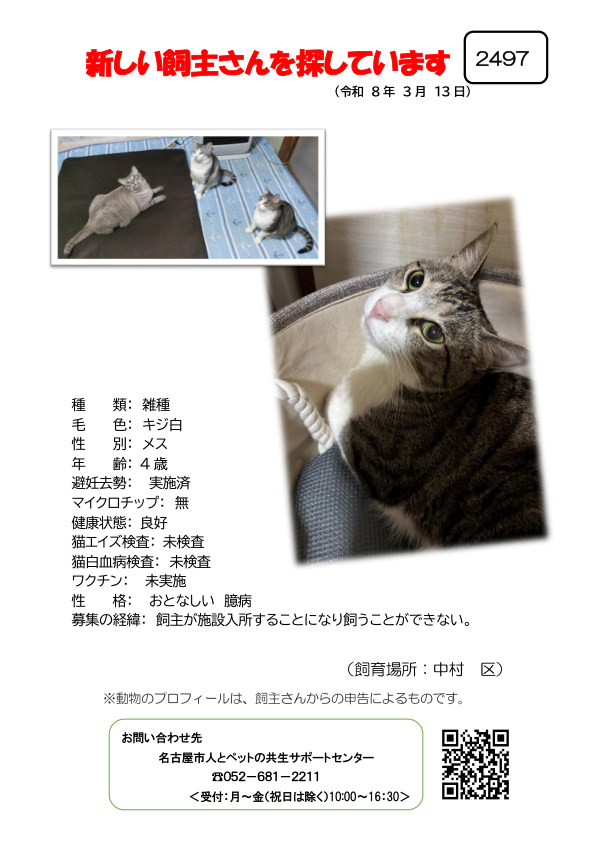 【4】2026年3月13日掲載