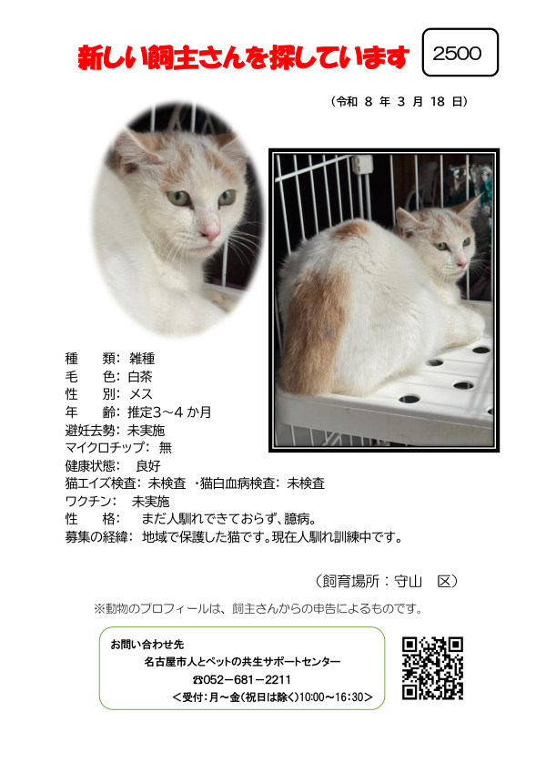 【3】2026年3月18日掲載