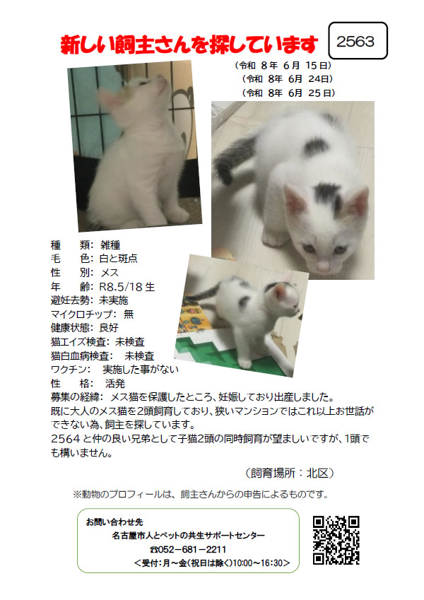 【2】2026年6月15日掲載