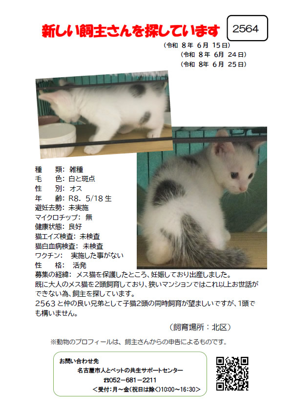 【3】2026年6月15日掲載